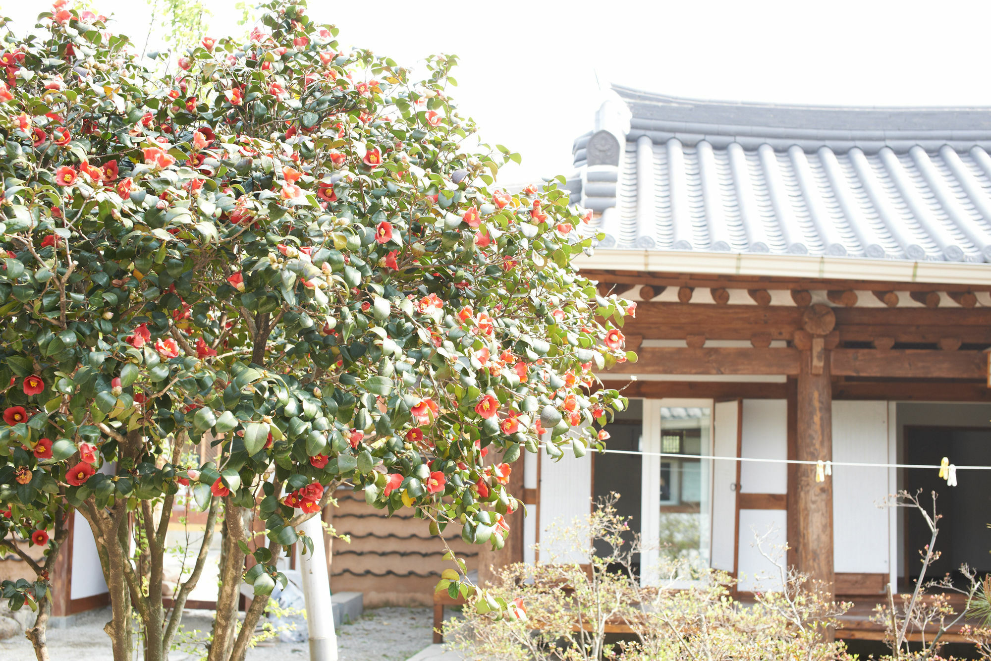 Sodamwon Jeonju Exterior photo