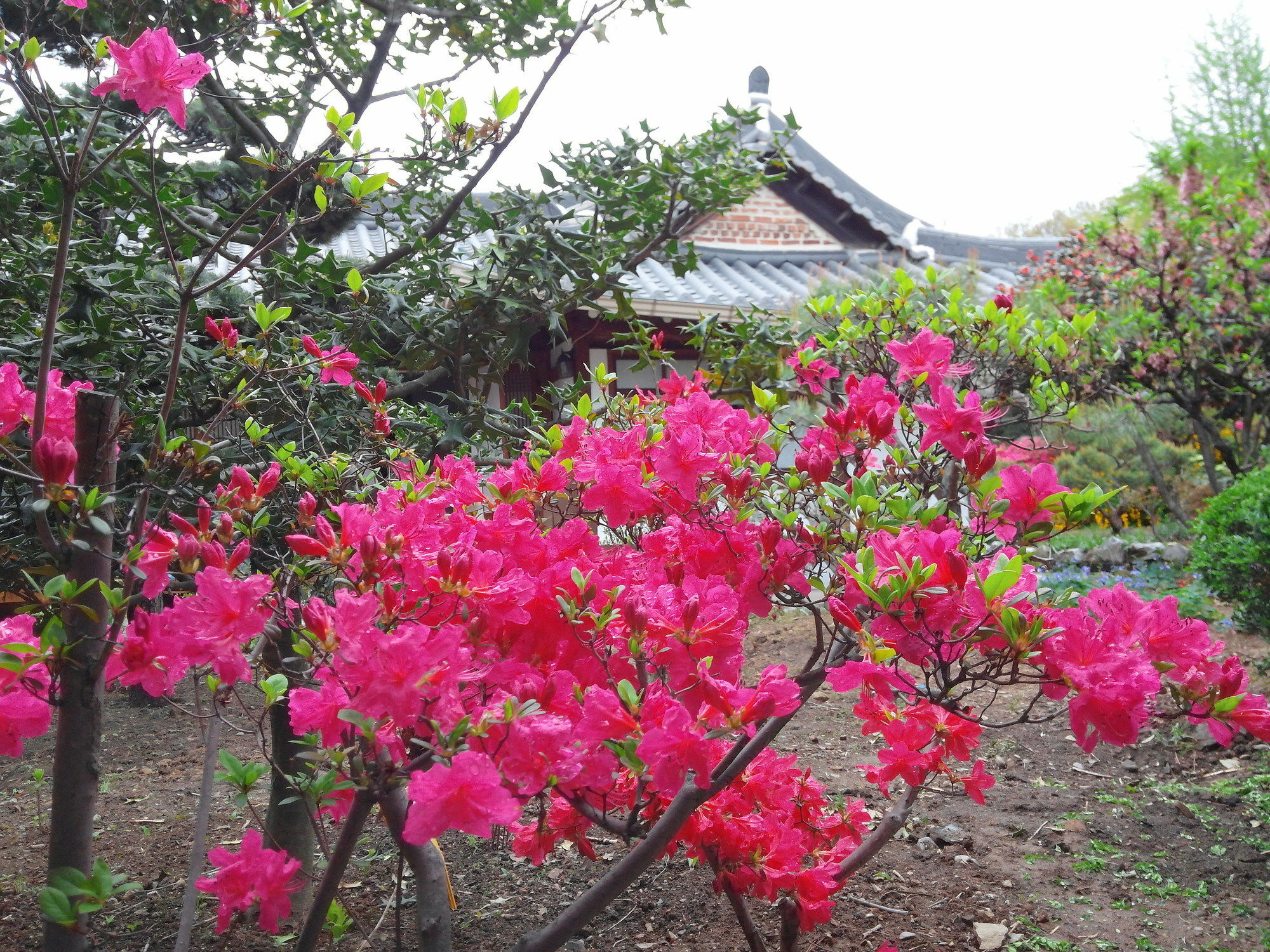 Sodamwon Jeonju Exterior photo